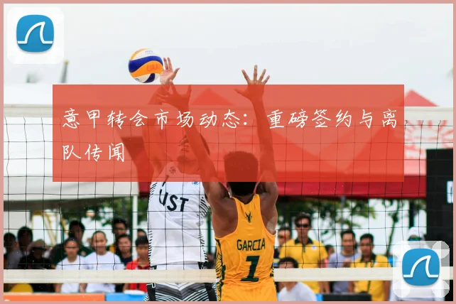 意甲转会市场动态：重磅签约与离队传闻