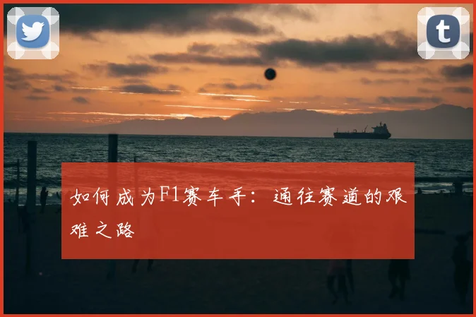 如何成为F1赛车手：通往赛道的艰难之路