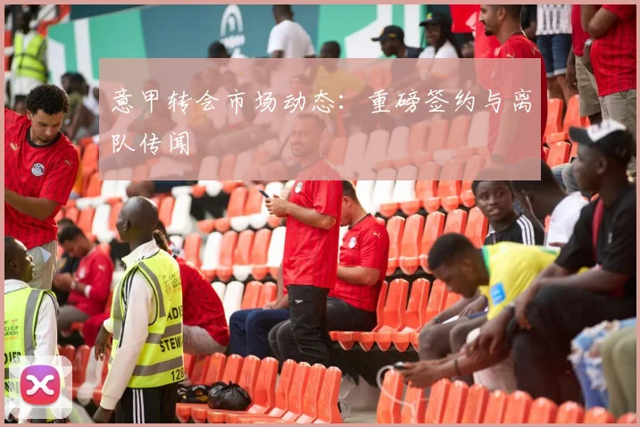 意甲转会市场动态：重磅签约与离队传闻
